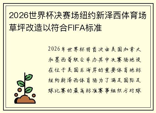 2026世界杯决赛场纽约新泽西体育场草坪改造以符合FIFA标准